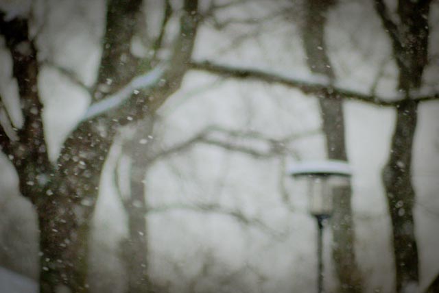 snö...foto: AntoniaB © 2014